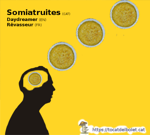 Somiatruites