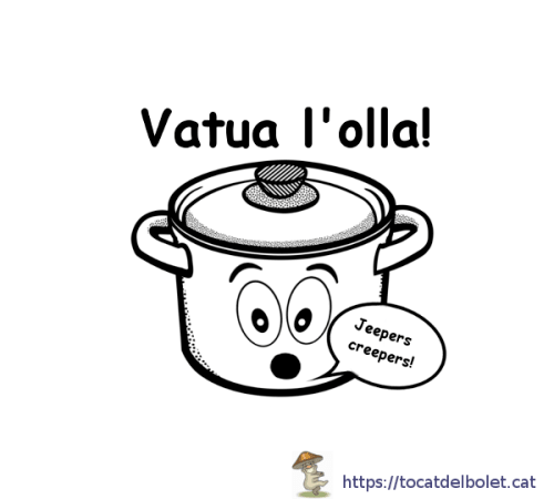 Vatua l'olla!