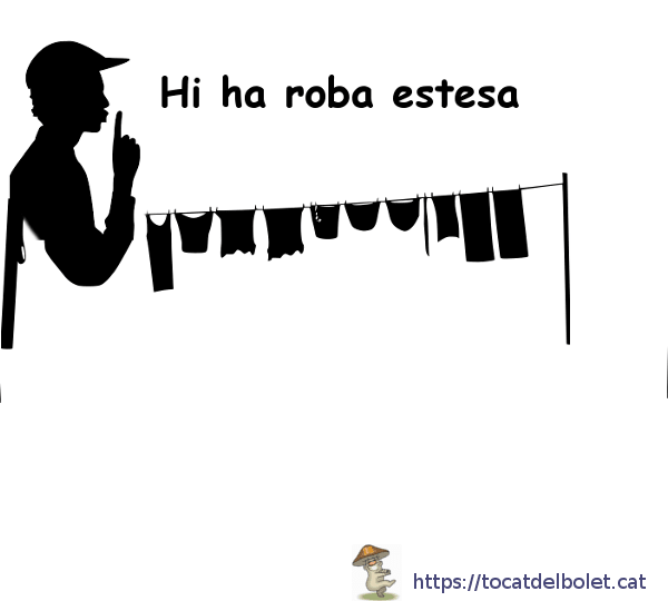 Haver-hi roba estesa