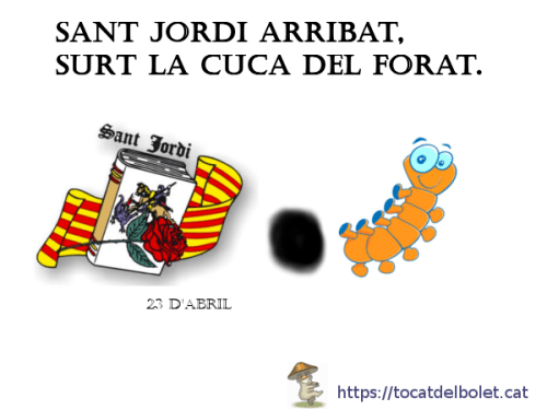 Sant Jordi arribat, surt la cuca del forat