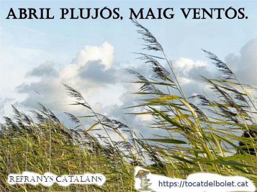 Abril plujós, maig ventós