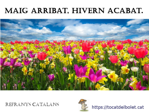 Maig arribat, hivern acabat