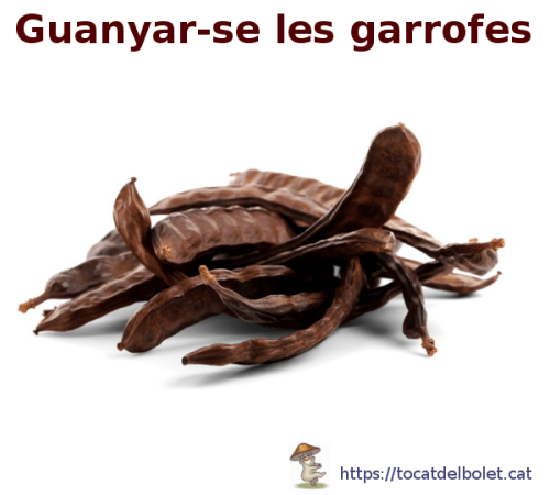 Guanyar-se les garrofes