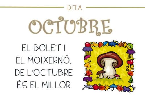 El bolet i el moixernó, de l'octubre és el millor