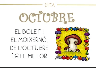 El bolet i el moixernó, de l'octubre és el millor