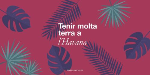 Tenir molta terra a l'Havana