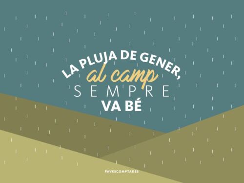 La pluja de gener, al camp sempre fa bé