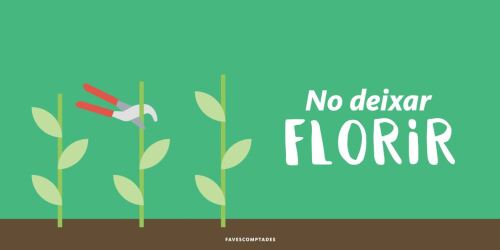 No deixar-ho florir