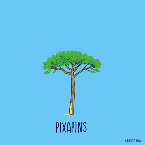 Pixapins