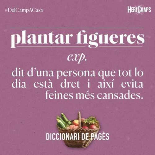 Plantar una figuera