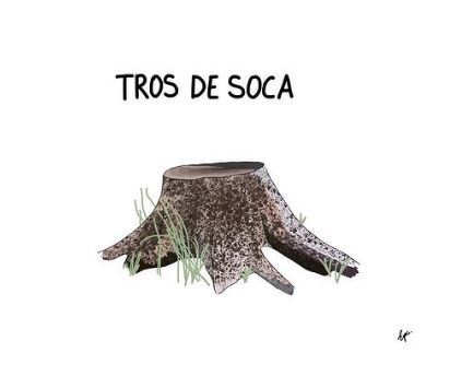 Tros de soca