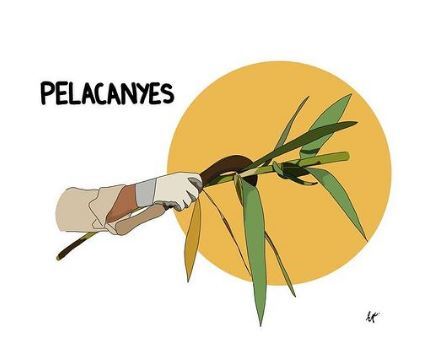 Pelacanyes