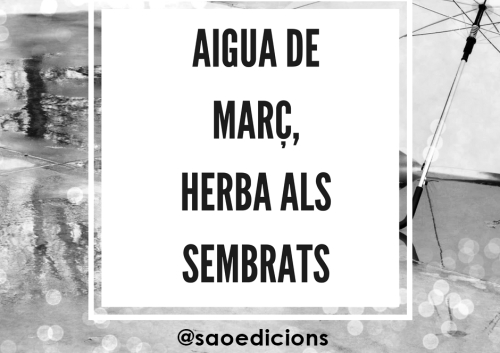 Aigua de març, herba als sembrats