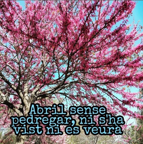 Abril sense pedregar, ni se n'ha vist ni se'n veurà