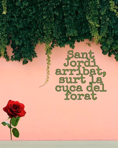 Sant Jordi arribat, surt la cuca del forat