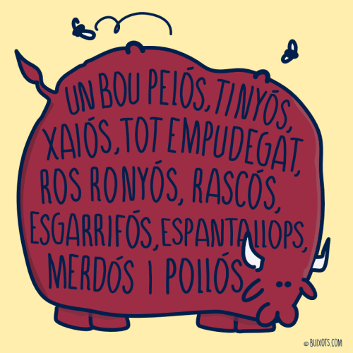 Un bou pelós, tinyós, xaiós, tot empudegat de ros ronyós, rascós, esgarrifós, espantallops, merdós i pollós