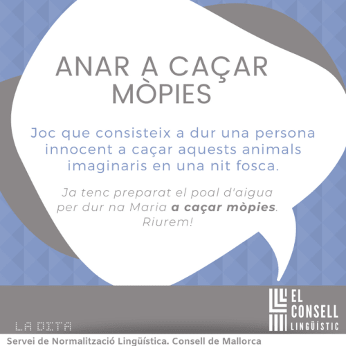 Anar a caçar mòpies