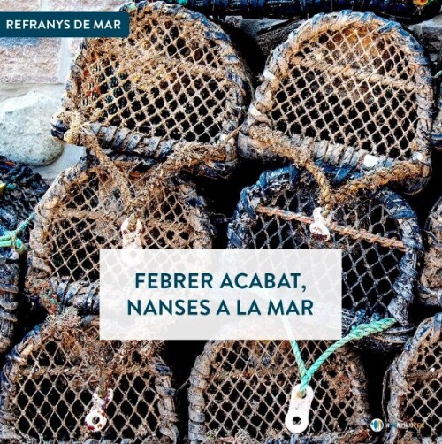 Febrer acabat, nanses a la mar