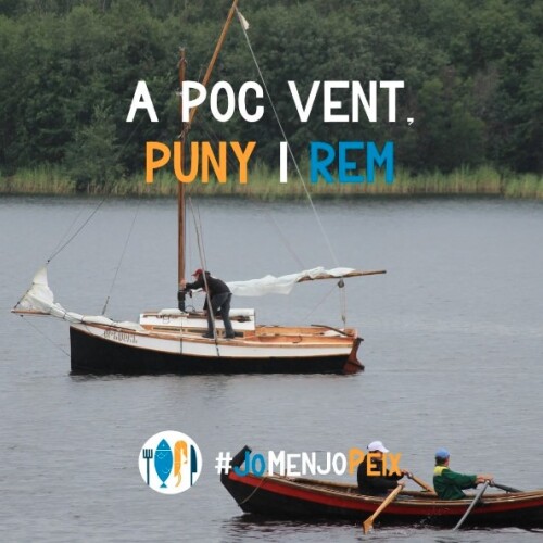 A poc vent, puny i rem