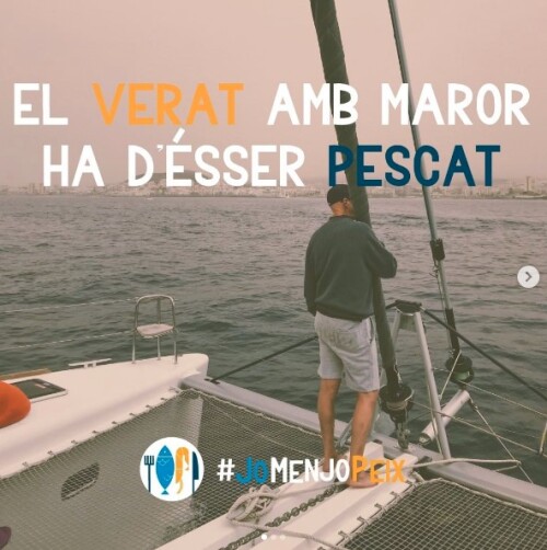 El verat amb maror ha de ser pescat