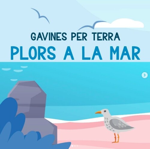 Gavines per terra, plors a la mar