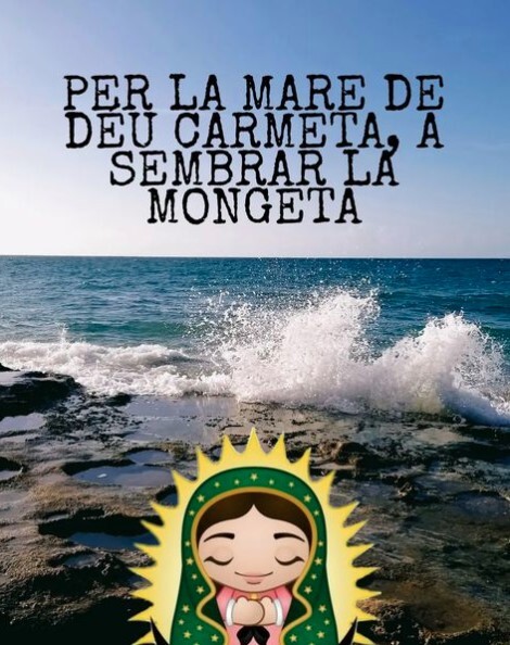 A mig juliol sembra el fesol i per la Mare de Déu Carmeta a sembrar la mongeta