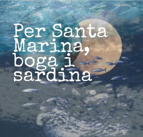 Per Santa Marina, boga i sardina