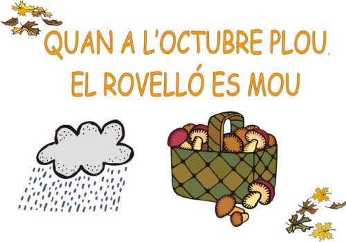 Si a l'octubre plou, el rovelló es mou