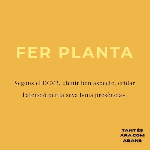 Fer planta