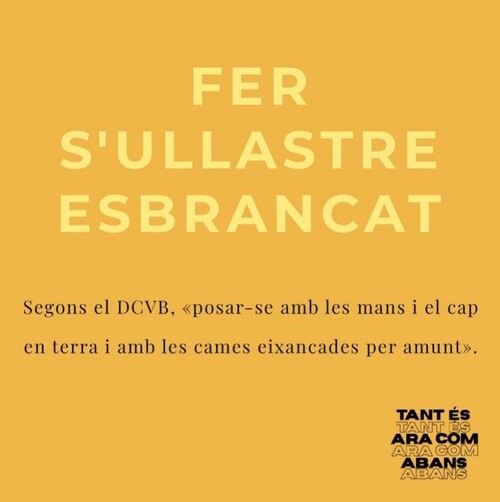 Fer l'ullastre esbrancat