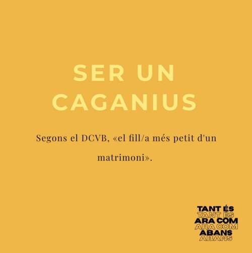 Ser un caganiu