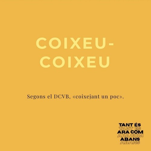 Coixeu-coixeu