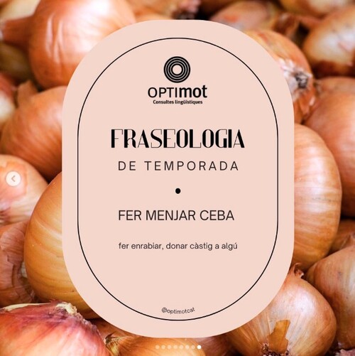 Fer-li menjar ceba