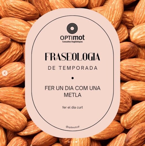 Fer un dia com una ametlla