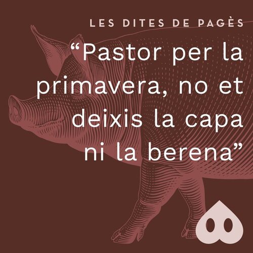 Per la primavera, pastor, no deixis la capa ni la berena