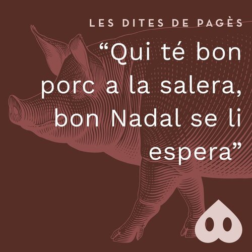 Qui té bon porc a la salera, bon Nadal se li espera