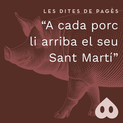 A cada porc li arriba el seu Sant Martí