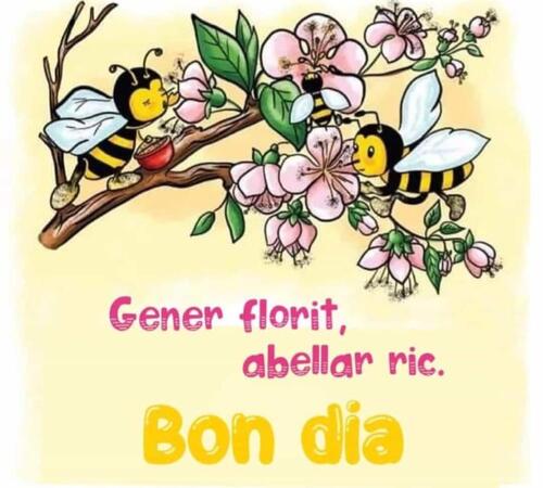 Gener florit, abellar ric