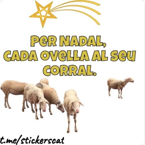 Per Nadal, cada ovella al seu corral