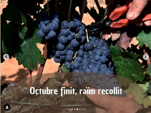 Octubre finit, raïm recollit