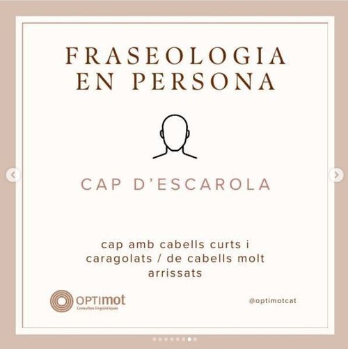 Cap d'escarola