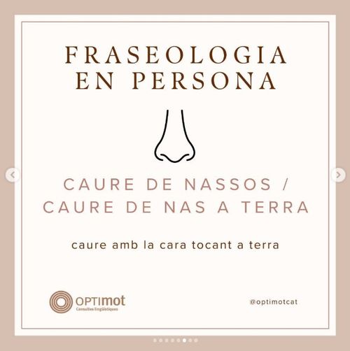 Caure de nassos