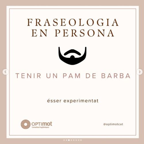 Tenir un pam (o tres) de barba