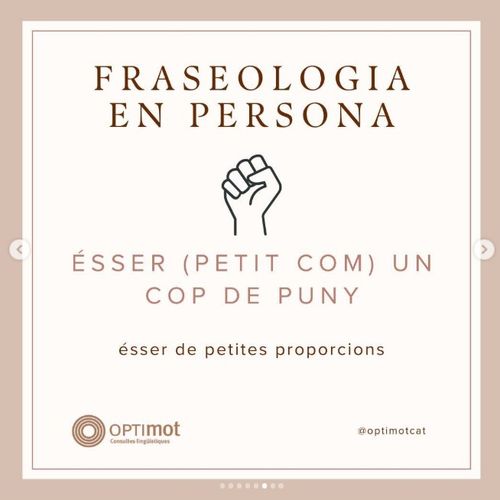 Com un cop de puny