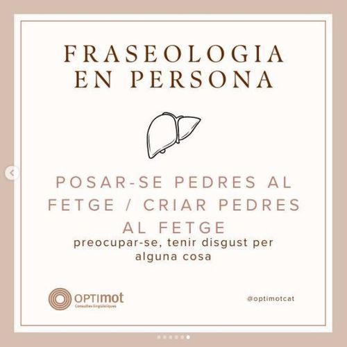 Criar pedres al fetge