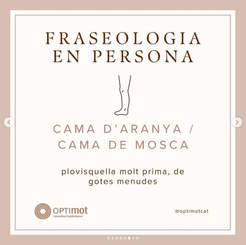 Cames de mosca