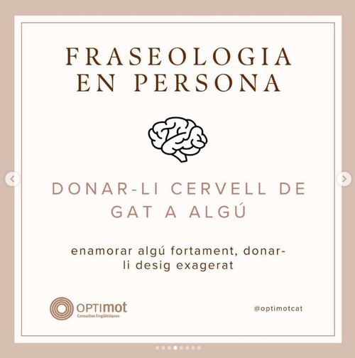 Donar-li cervell de gat
