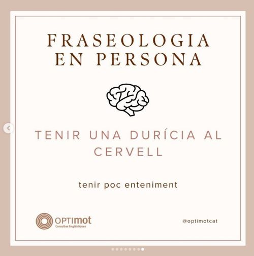 Tenir una durícia al cervell