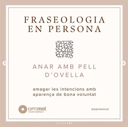 Amb pell d'ovella