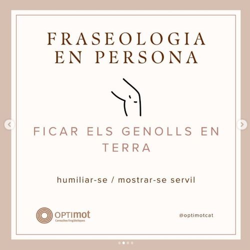 Ficar els genolls en terra